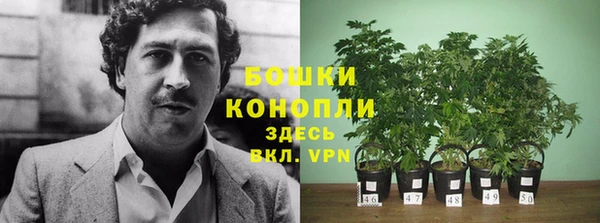 гашик Зеленодольск