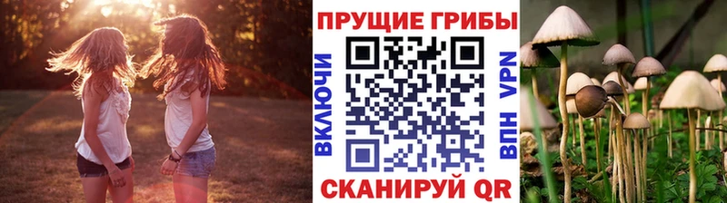 Галлюциногенные грибы Magic Shrooms  hydra зеркало  Змеиногорск 